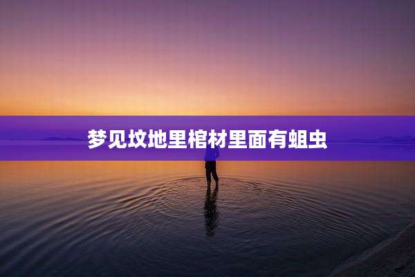 梦见坟地里棺材里面有蛆虫