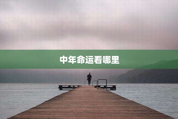 中年命运看哪里