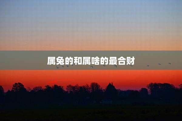 属兔的和属啥的最合财