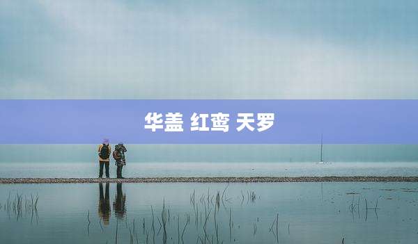 华盖 红鸾 天罗