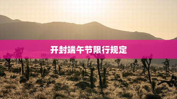 开封端午节限行规定