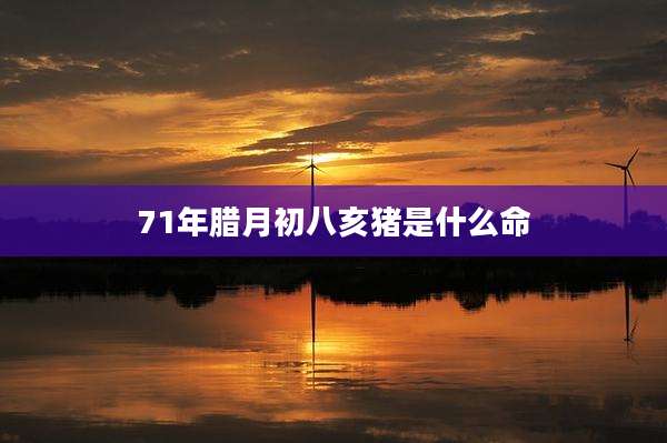 71年腊月初八亥猪是什么命