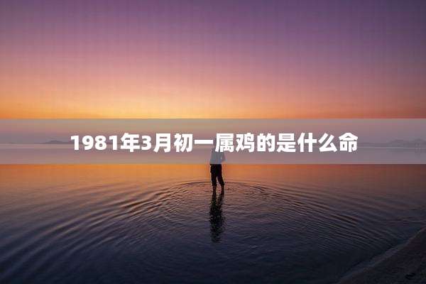 1981年3月初一属鸡的是什么命