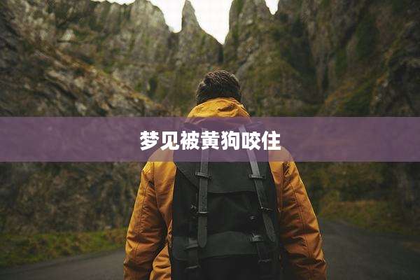 梦见被黄狗咬住