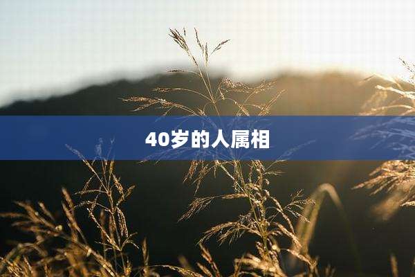 40岁的人属相