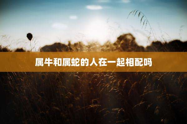 属牛和属蛇的人在一起相配吗