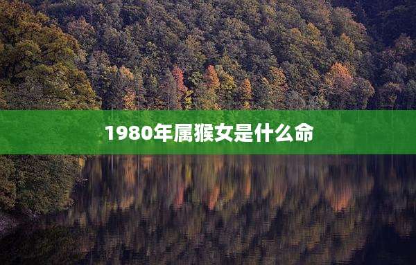 1980年属猴女是什么命