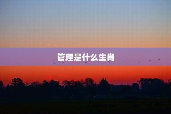 管理是什么生肖