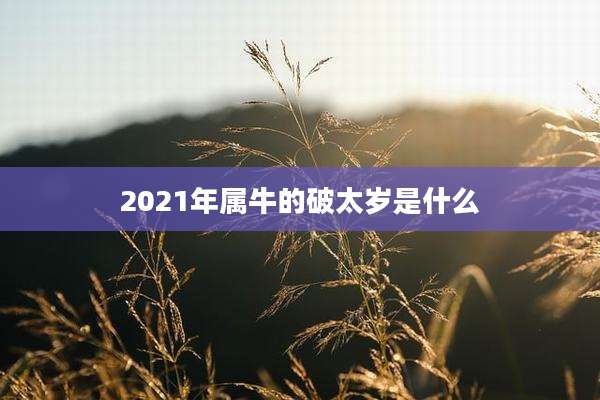 2021年属牛的破太岁是什么