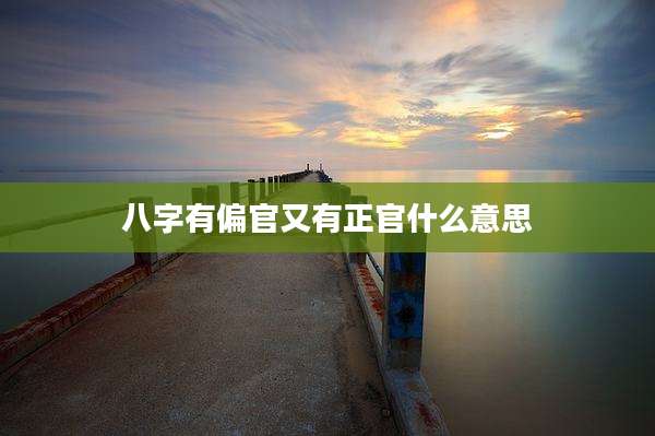 八字有偏官又有正官什么意思