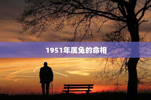 1951年属兔的命相