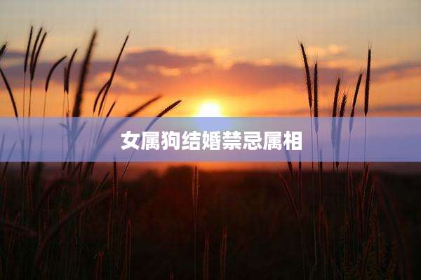 女属狗结婚禁忌属相