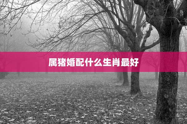 属猪婚配什么生肖最好