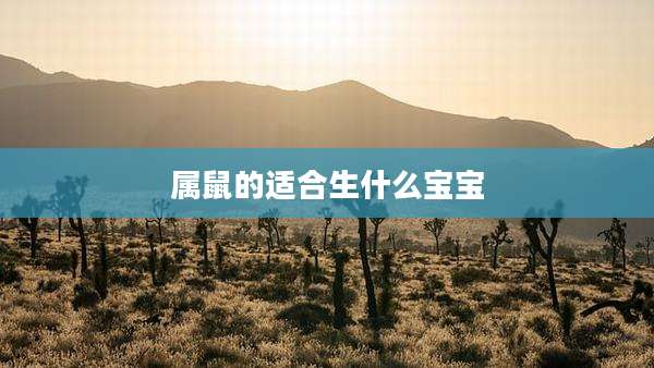 属鼠的适合生什么宝宝
