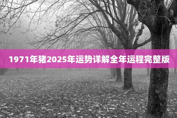 1971年猪2025年运势详解全年运程完整版