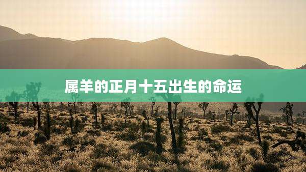 属羊的正月十五出生的命运
