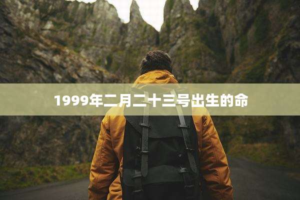 1999年二月二十三号出生的命