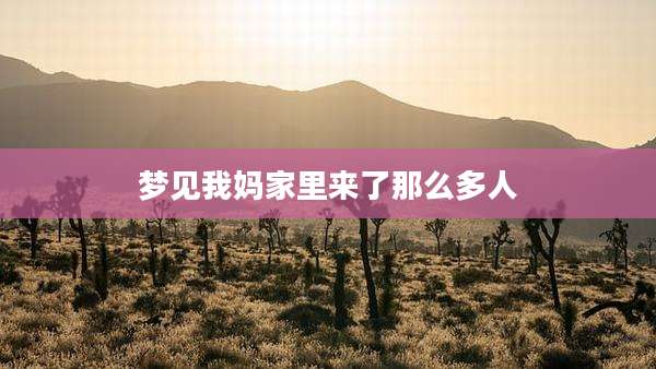 梦见我妈家里来了那么多人