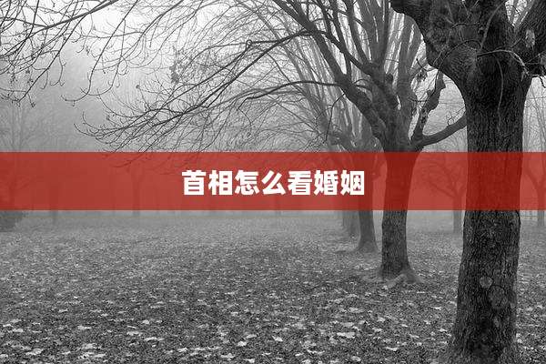 首相怎么看婚姻
