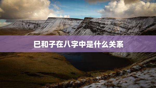 巳和子在八字中是什么关系