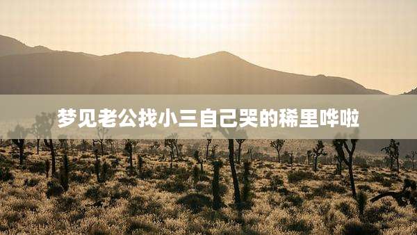 梦见老公找小三自己哭的稀里哗啦