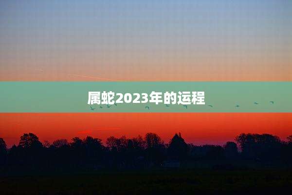属蛇2023年的运程