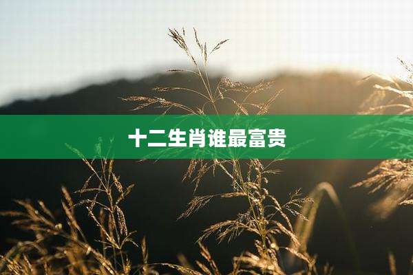 十二生肖谁最富贵