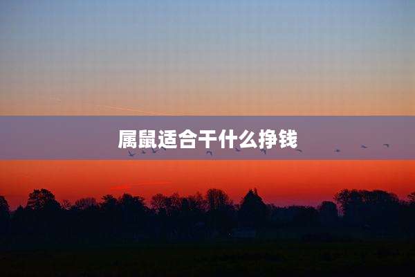 属鼠适合干什么挣钱