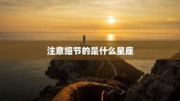 注意细节的是什么星座