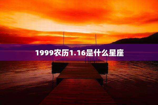 1999农历1.16是什么星座