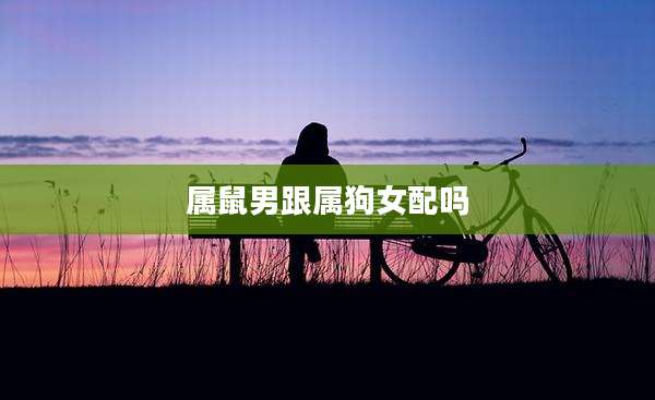 属鼠男跟属狗女配吗