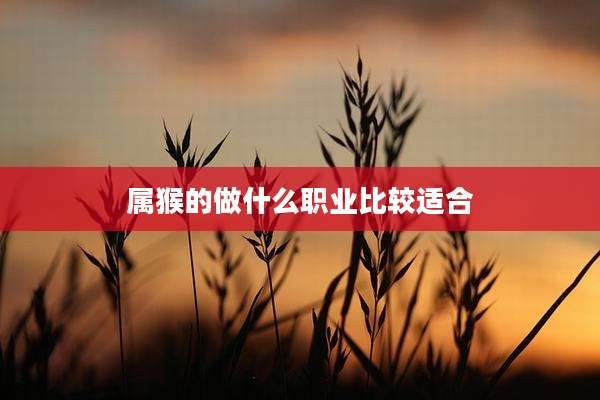 属猴的做什么职业比较适合