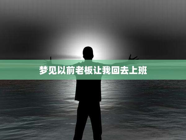 梦见以前老板让我回去上班