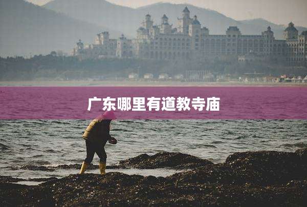 广东哪里有道教寺庙