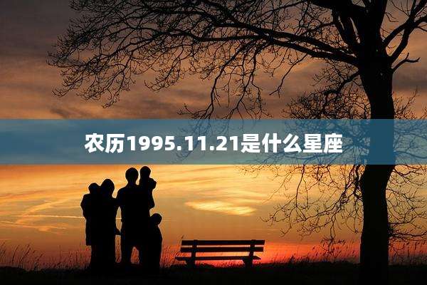 农历1995.11.21是什么星座