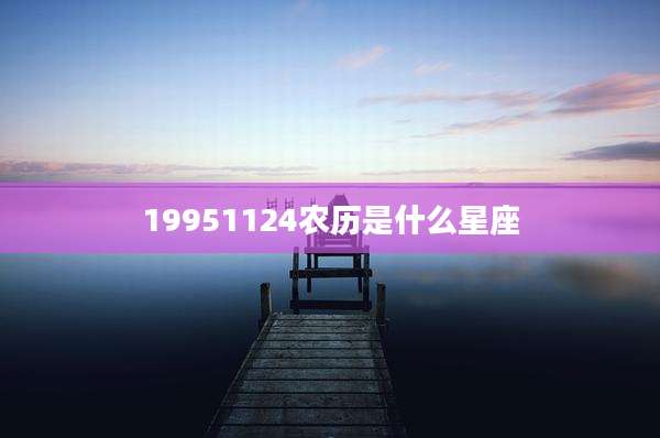 19951124农历是什么星座