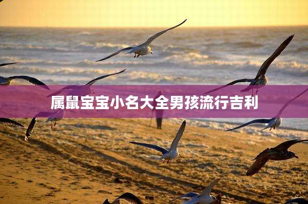 属鼠宝宝小名大全男孩流行吉利