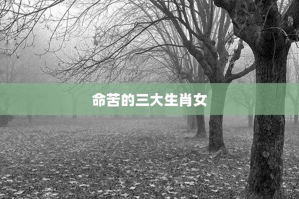 命苦的三大生肖女