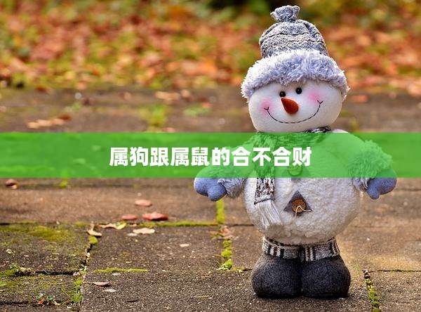 属狗跟属鼠的合不合财