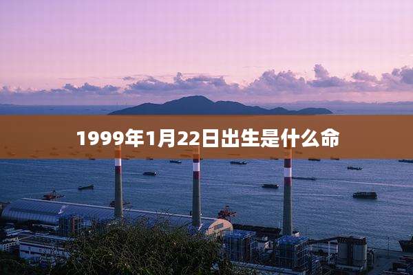 1999年1月22日出生是什么命