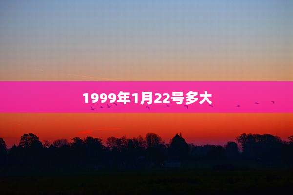 1999年1月22号多大