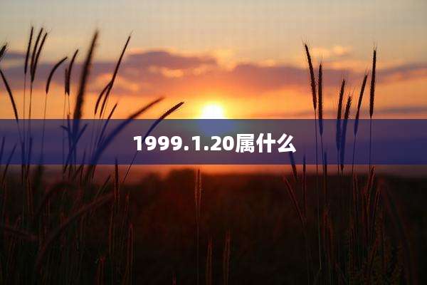 1999.1.20属什么