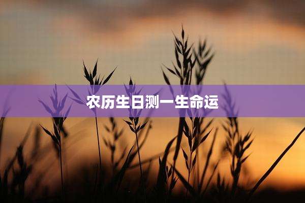 农历生日测一生命运