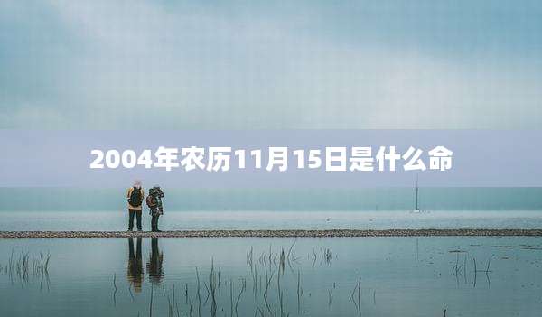 2004年农历11月15日是什么命