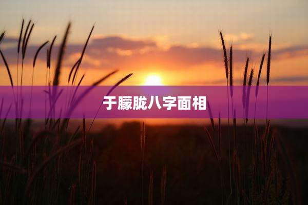 于朦胧八字面相