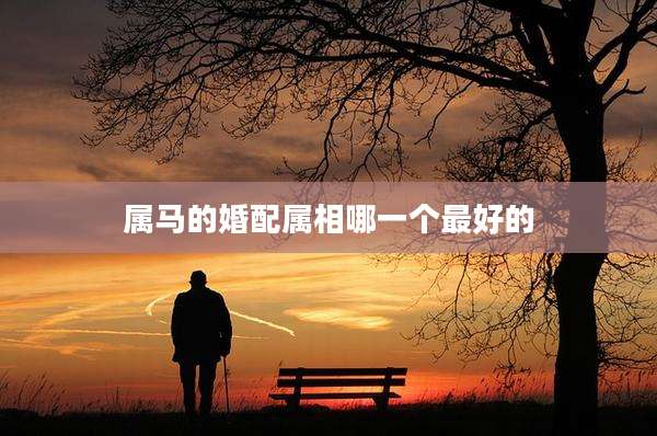 属马的婚配属相哪一个最好的