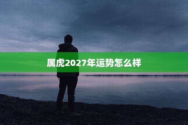 属虎2027年运势怎么样