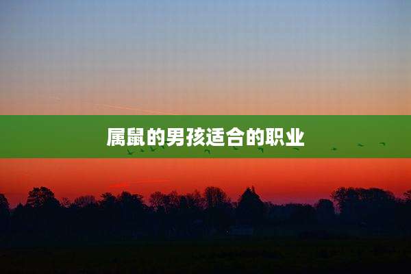 属鼠的男孩适合的职业