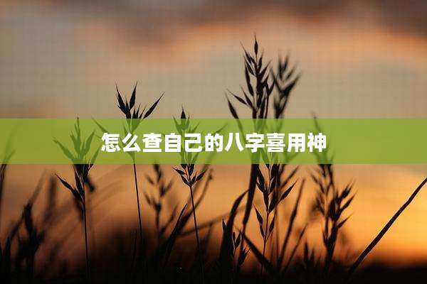 怎么查自己的八字喜用神
