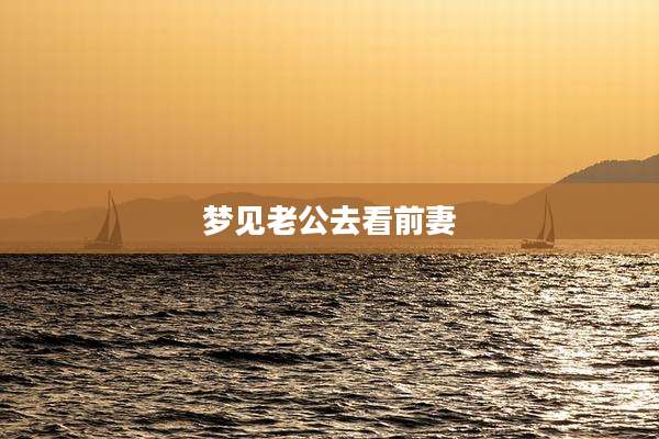 梦见老公去看前妻